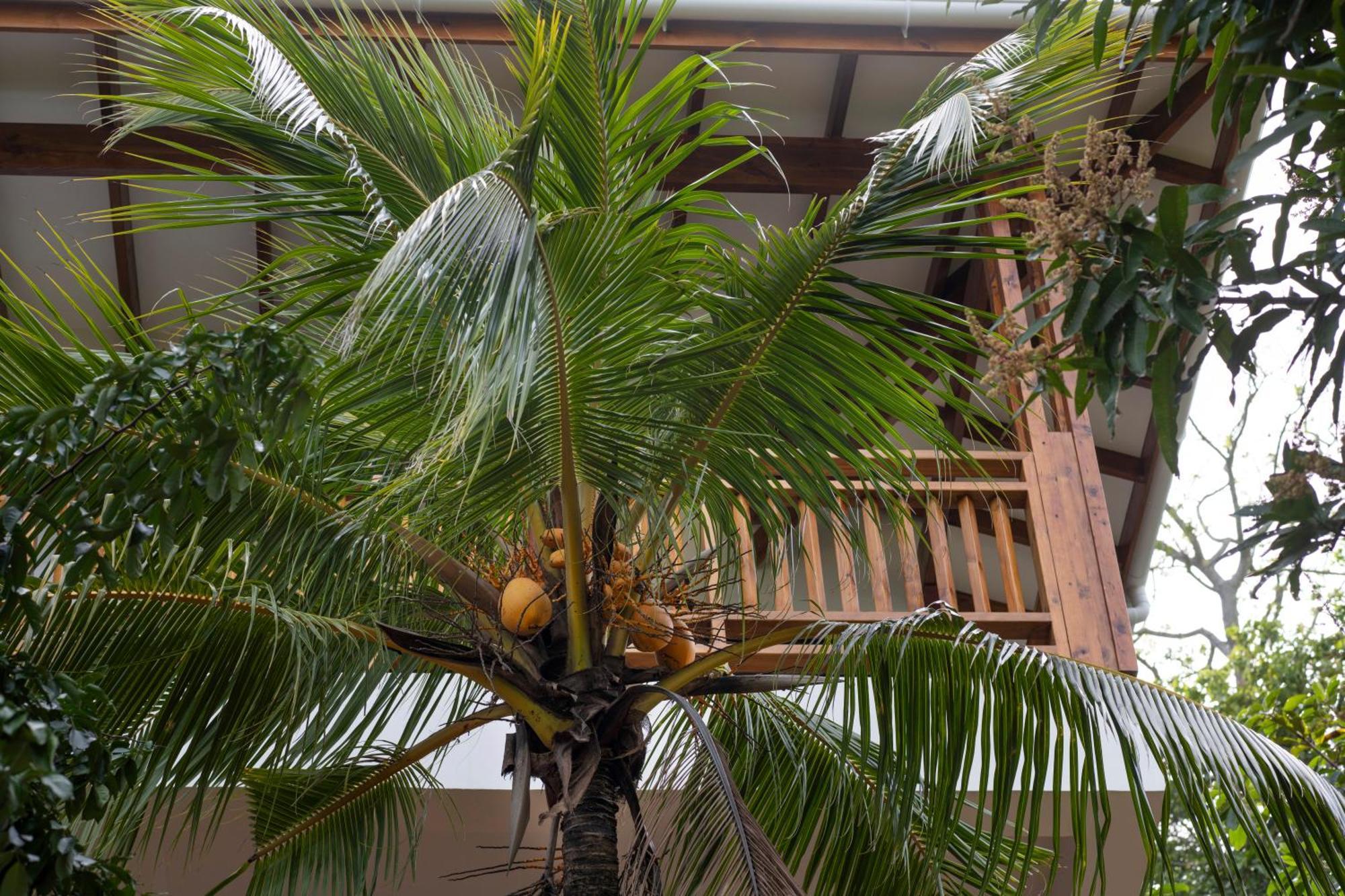 Sunbird Villas Glacis  Extérieur photo